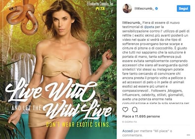 Elisabetta Canalis sexy per Peta 1