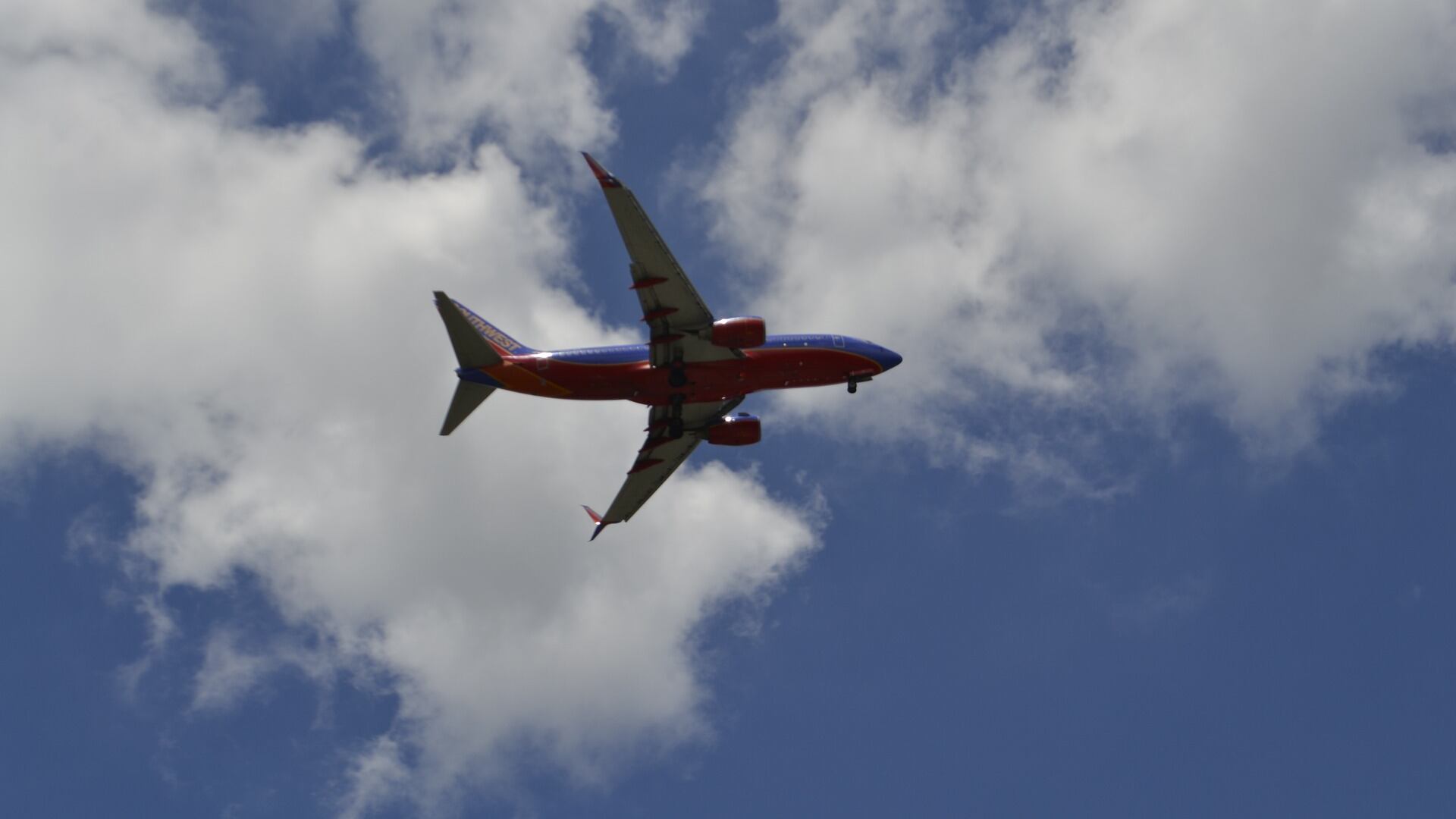 Non c'è posto sull'aereo e la famiglia viaggia seduta sul pavimento