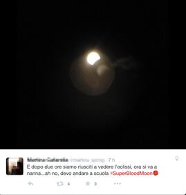L'eclissi di superluna, foto e impressioni 16