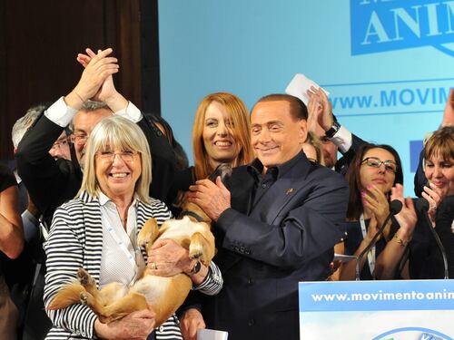 Berlusconi: "Gli animali devono essere tutelati"
