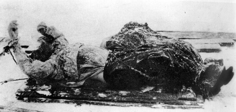 Il cadavere congelato di Rasputin adagiato su una slitta dopo il suo ritrovamento