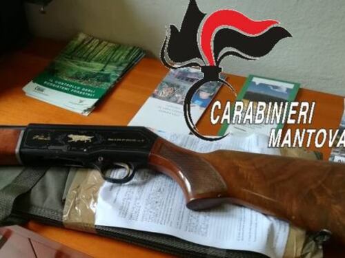 Mantova, denunciati in quattro: braccavano specie protette