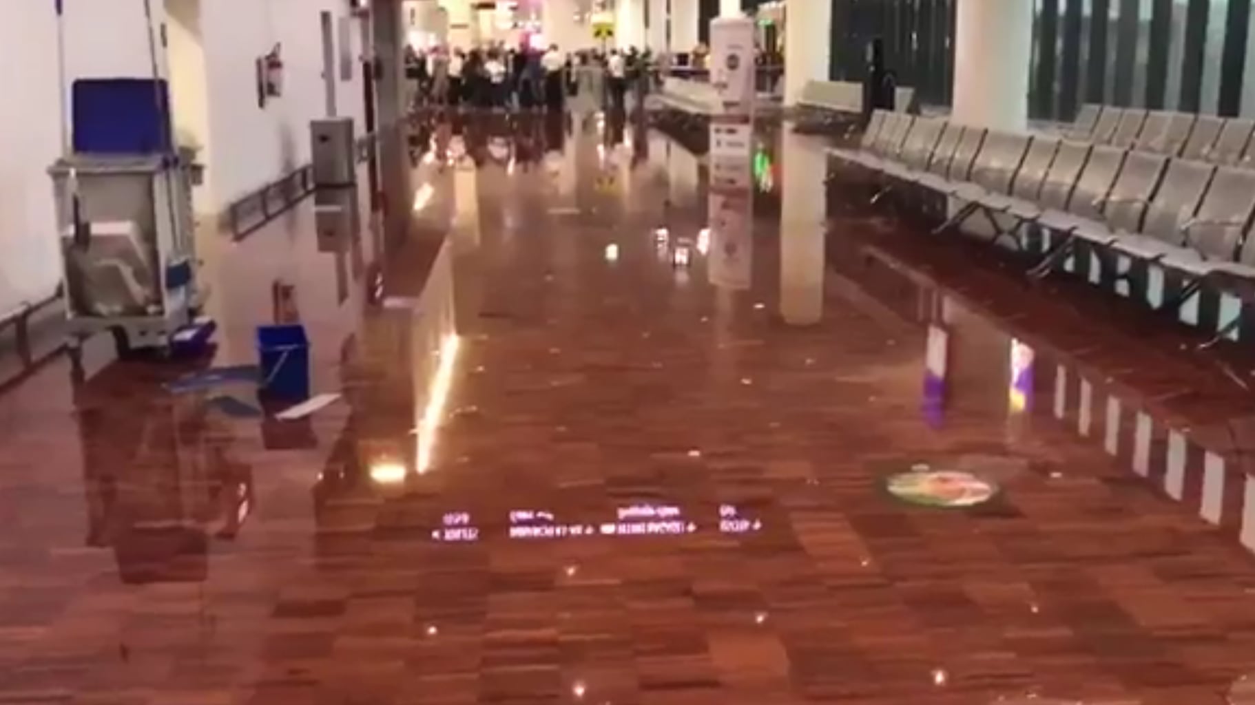 Maltempo, allagato l'aeroporto di Orio. Ripartito il Gp di Monza