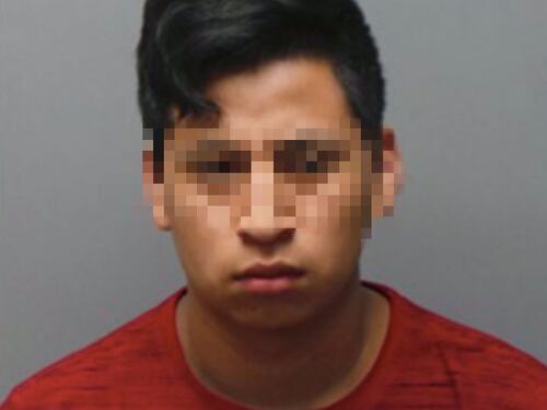 Usa, 17enne violenta e mette incinta una parente di 11 anni