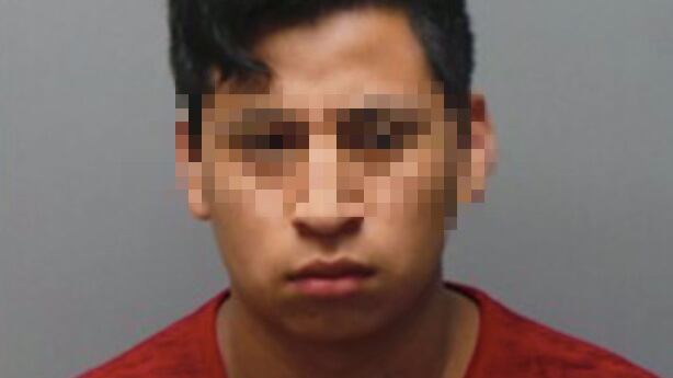 Usa, 17enne violenta e mette incinta una parente di 11 anni