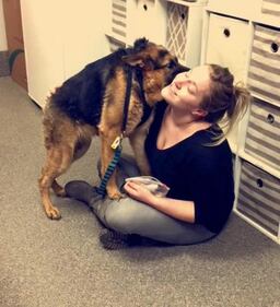 Quasimodo, il cane abbandonato perché malato 2