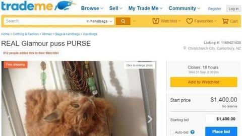 Trova un gatto morto e lo trasforma in borsa. Pioggia di critiche per la donna