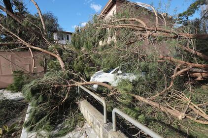 Il maltempo distrugge la pineta di Forte dei Marmi 14