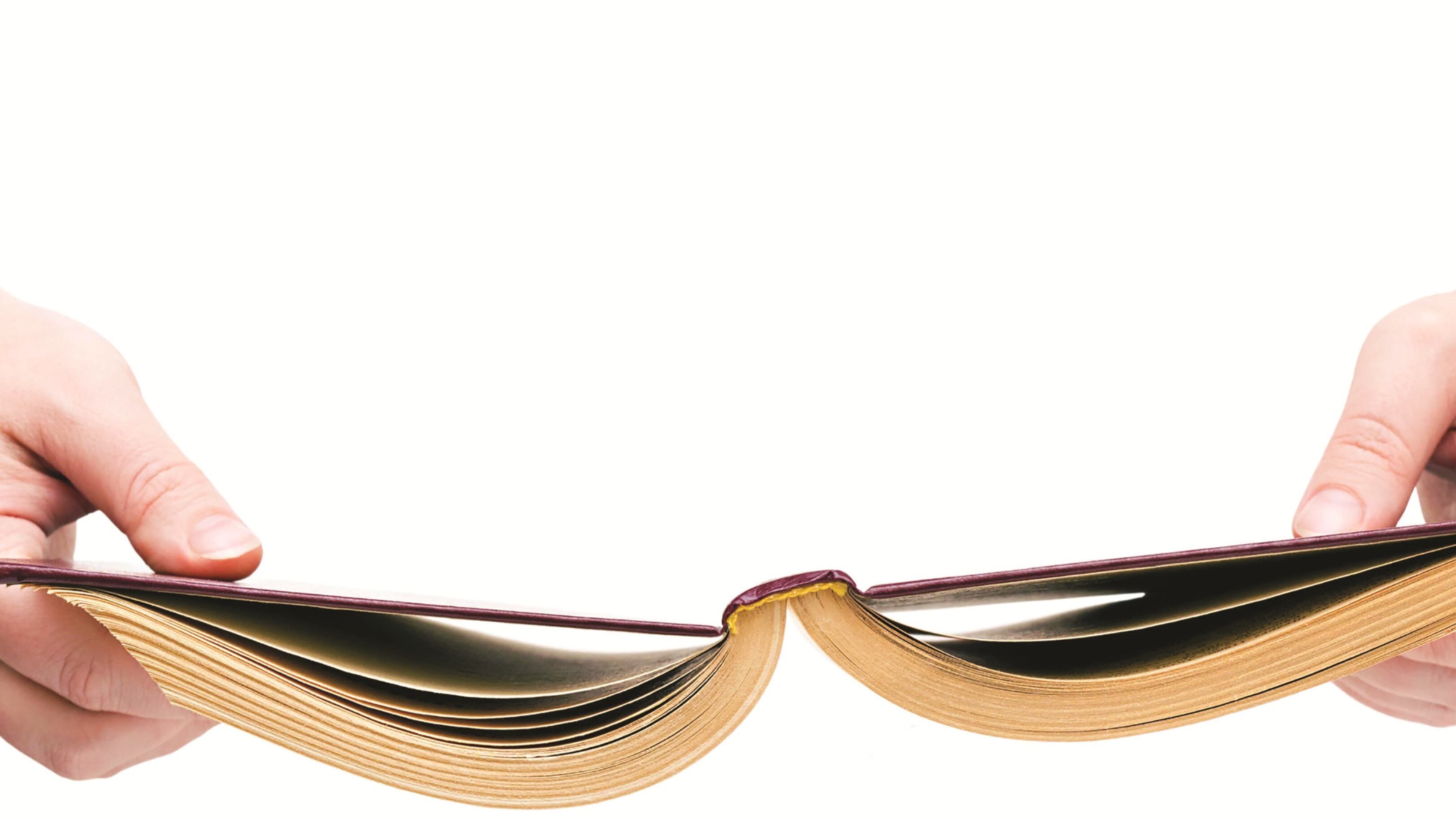 Un anno di libri in classifica: i più venduti del 2016