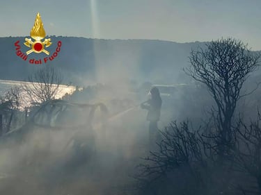 L'incendio scoppiato a Punta Molentis 7