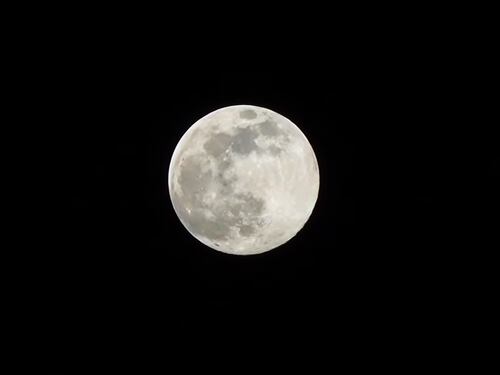Luna del lupo 2024 pronta a brillare in cielo: ecco perché si chiama così