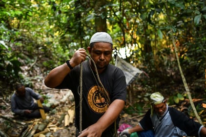Malesia, cacciatori di miele 17