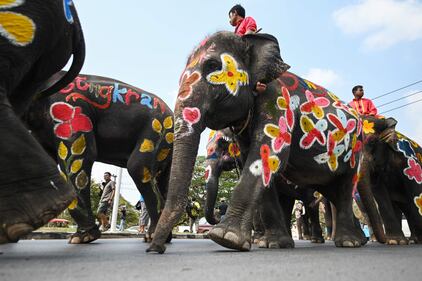 In Thailandia si festeggia il Songkran Festival 3