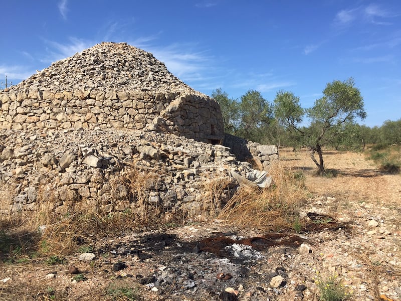 Bitonto e le campagne nel degrado 7