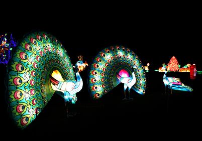 Al via in Inghilterra il Festival della Luce 6
