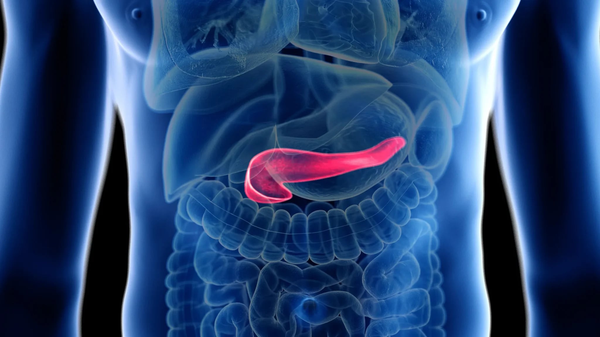 Cancro del colon-retto: consigli per la prevenzione