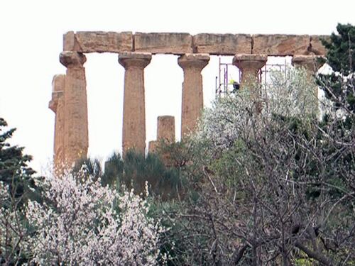 In 5000 nella Valle dei Templi per sfidare la paura del virus