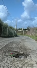 Fiori nelle buche, la protesta nei municipi romani 2