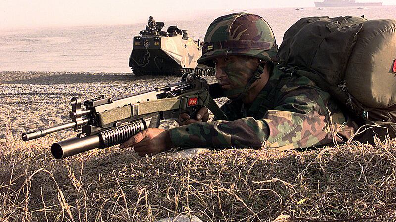 Corea del Sud, cecchini al confine per uccidere i cinghiali