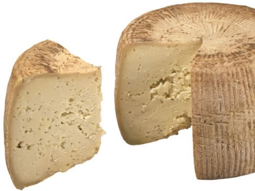 Potenza, sotto processo due produttori di formaggio pecorino