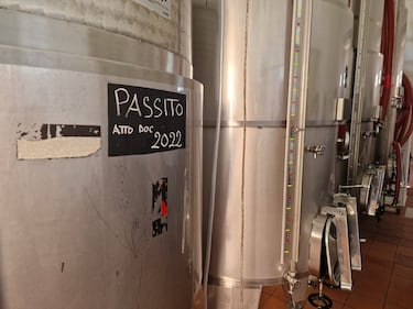 Mare, vigneti e tradizioni: il tesoro di Pantelleria 9