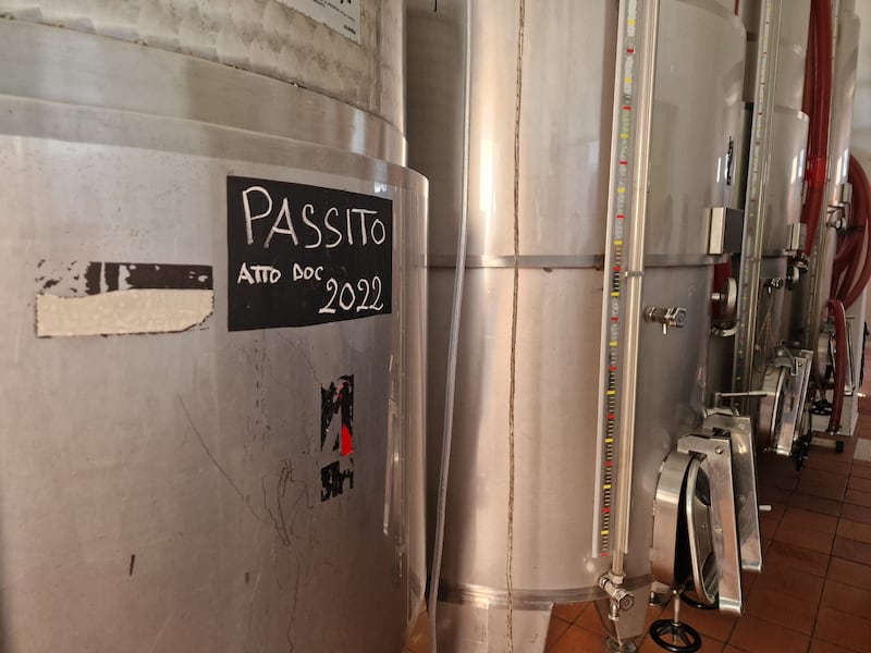 Mare, vigneti e tradizioni: il tesoro di Pantelleria 9