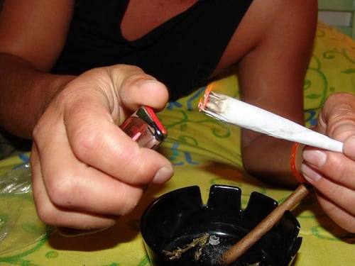 Cannabis light, la Cassazione: "Venderla è sempre reato"