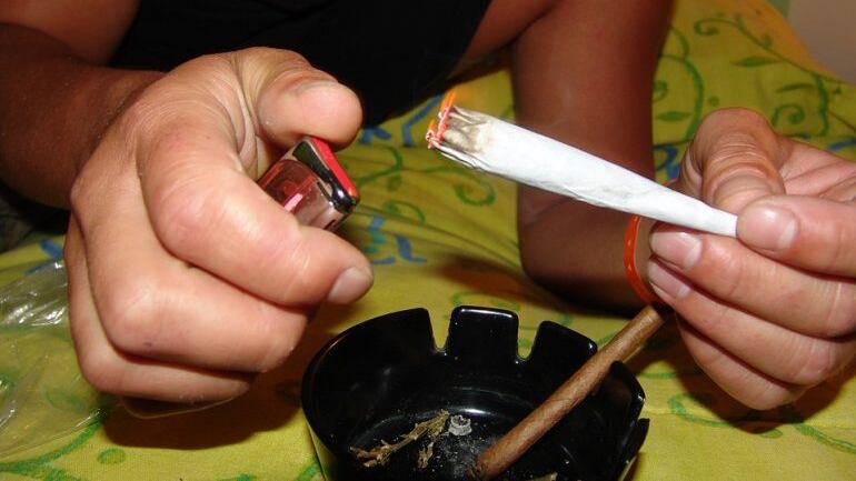 Cannabis light, la Cassazione: "Venderla è sempre reato"