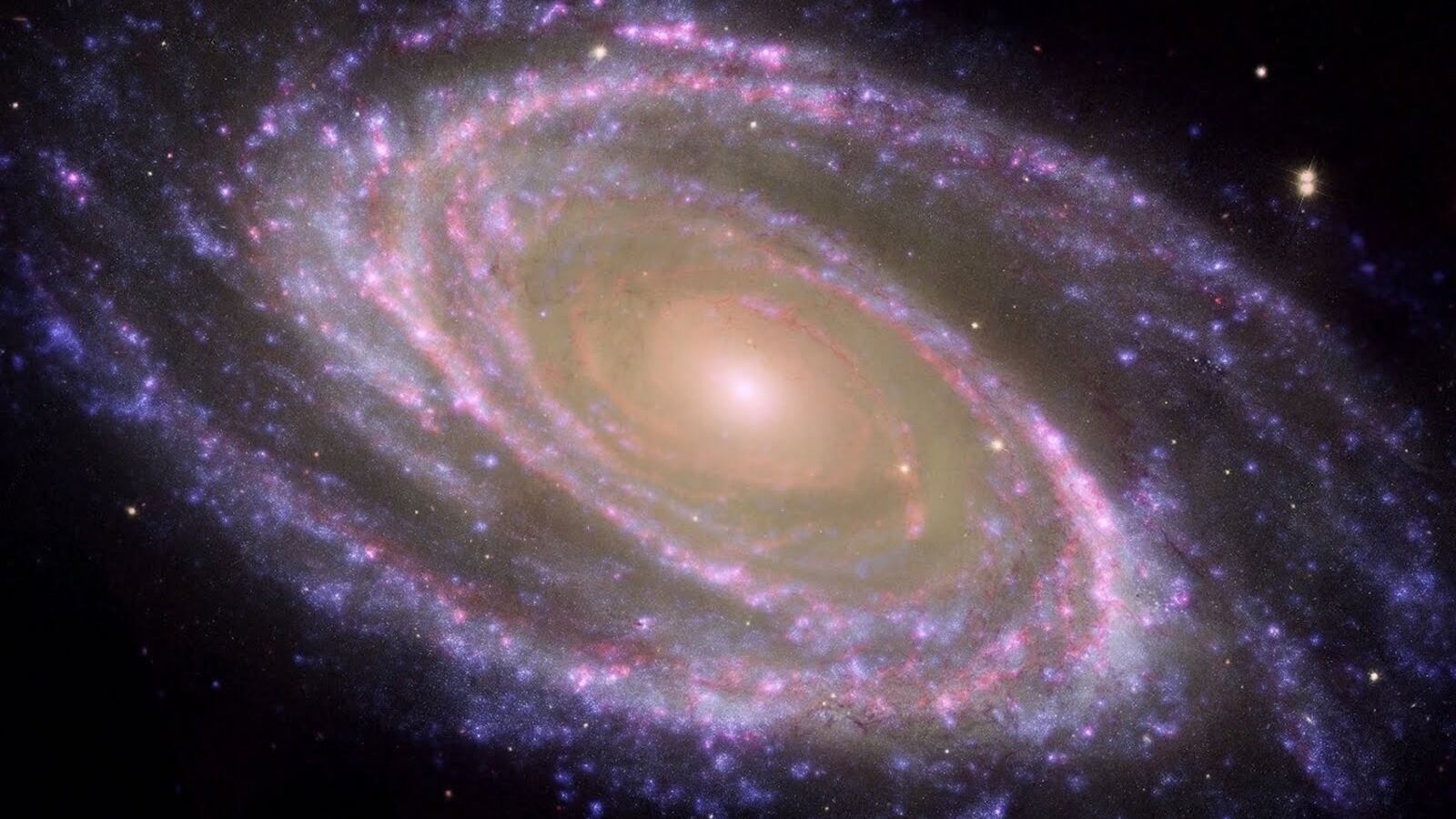 Il Papa: "Il Big Bang non contraddice l'intervento di Dio nel creato"