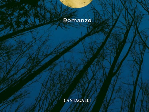 Come formiche dall'alto, una storia vera che deve ancora accadere