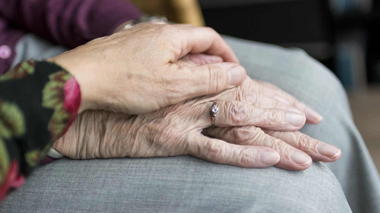 La saggezza dei nonni è un valore enorme. Impariamo a coltivarla con largo anticipo