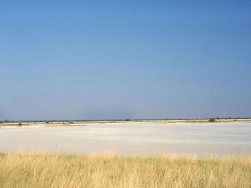 Nuova scoperta: la culla dell'umanità si troverebbe nell'attuale Botswana
