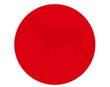 Cosa nasconde il cerchio rosso? 1