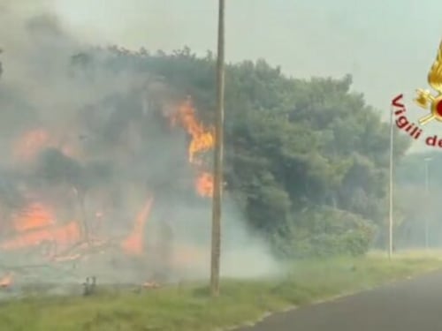 In fiamme il bosco di Baia San Felice, evacuato un villaggio
