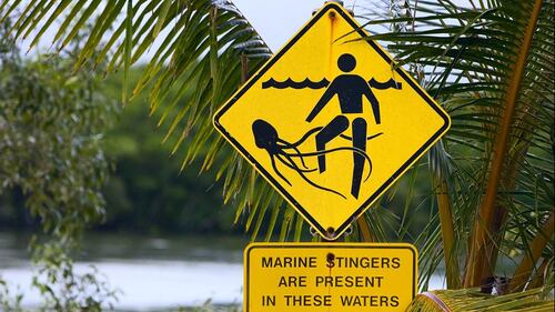 Le dieci spiagge più pericolose del mondo 2