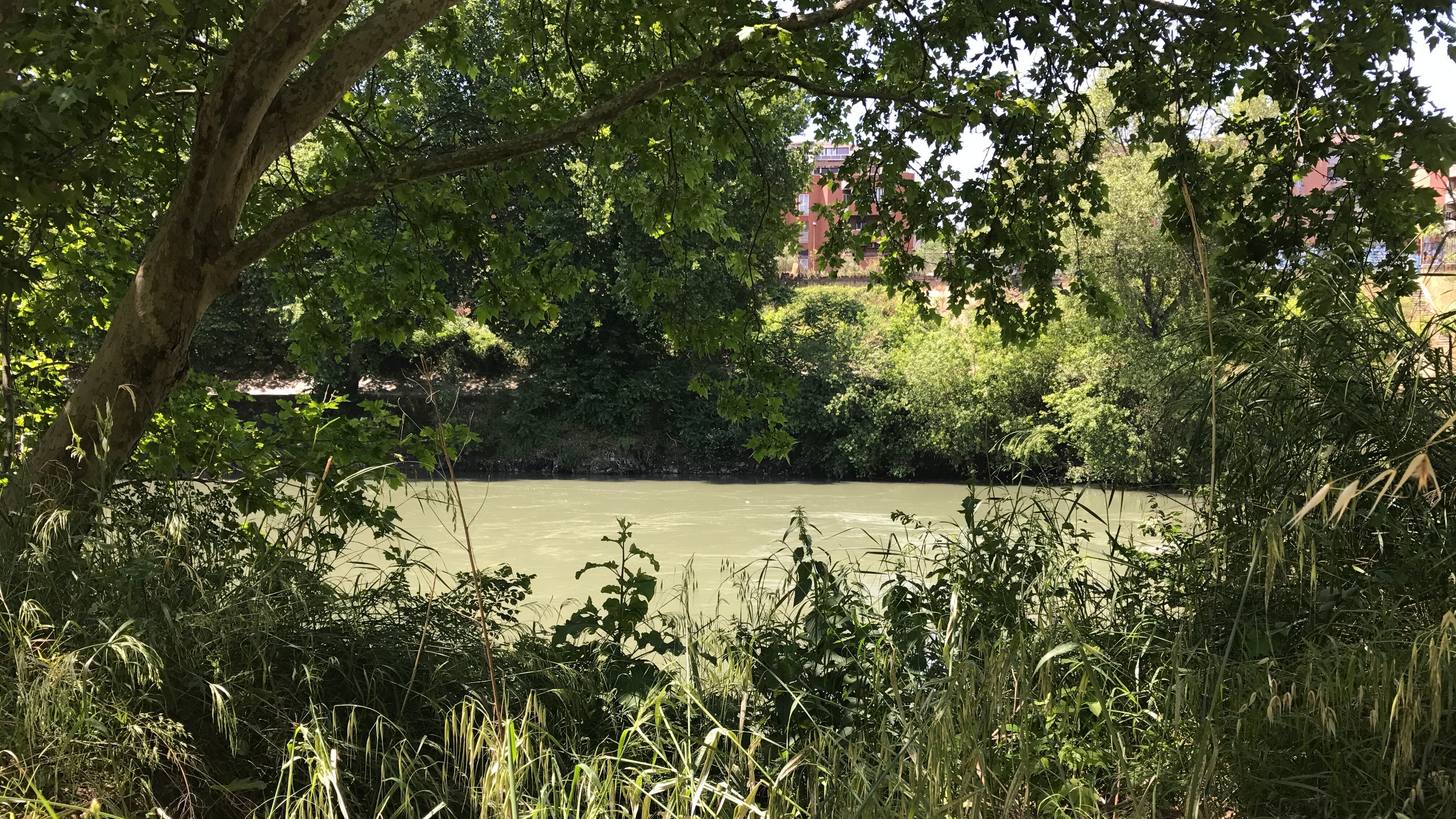 Roma, la spiaggia sul Tevere aprirà i battenti ad agosto