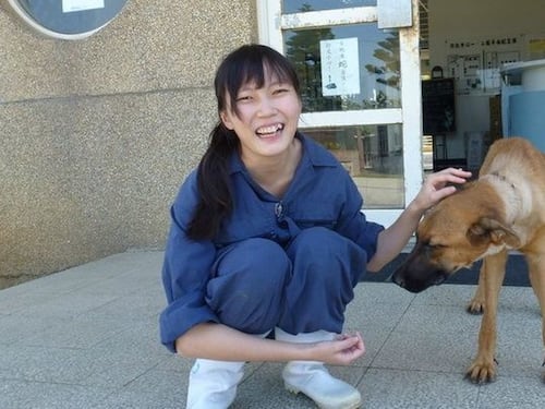 Sopprimeva i cani per lavoro. Dopo anni di insulti, si è tolta la vita
