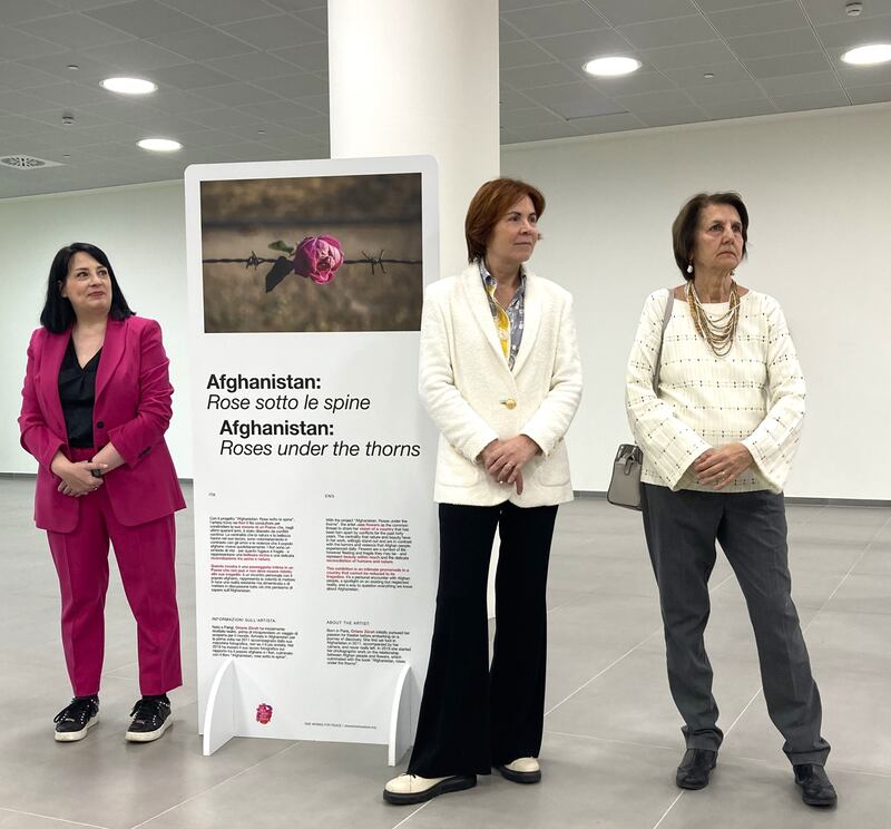Afghanistan rose sotto le spine mostra Linate