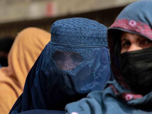 Lo scontro di civiltà e le donne che preferiscono l'orso. Le parole della settimana