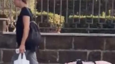 Roma, a passeggio per i Parioli con un maiale al guinzaglio