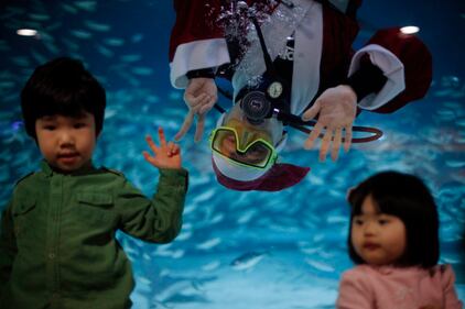 Babbo Natale nell'acquario 5