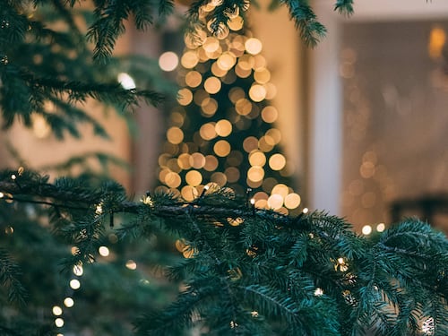 Buona immacolata 2025, gli auguri da inviare su WhatsApp l'8 dicembre