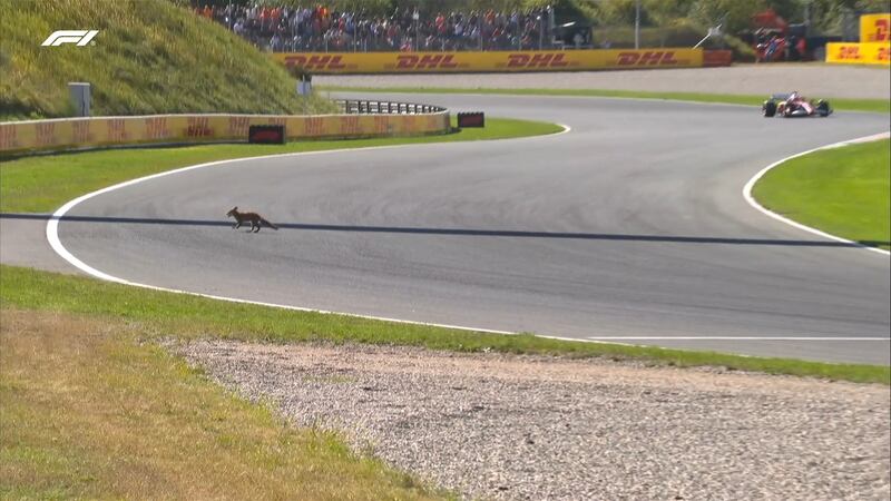 Fonte: X (@F1)