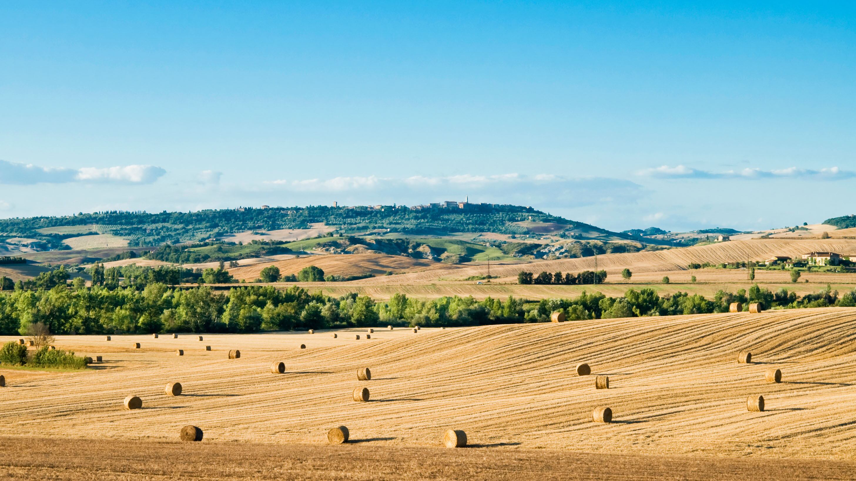 Stato, partito e ambientalisti sono la peste dell'agricoltura