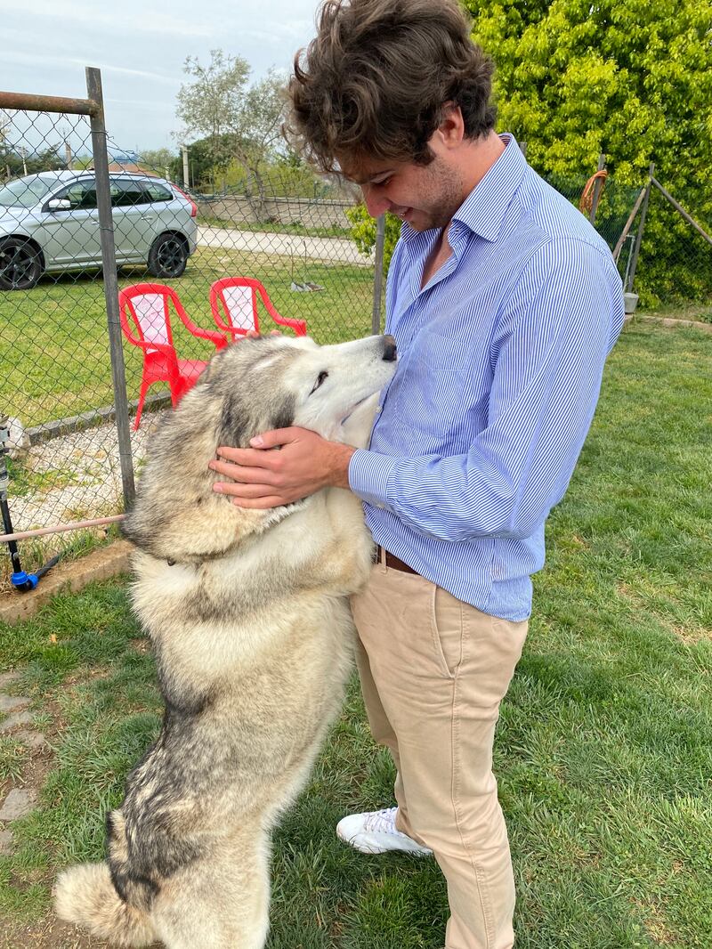 Chiengora, il tessuto dal sottopelo dei cani. L'idea vincente di due 24enni italiani 4