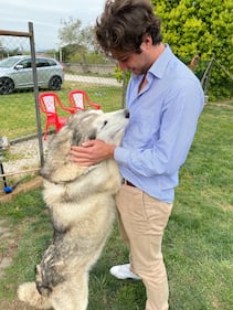 Chiengora, il tessuto dal sottopelo dei cani. L'idea vincente di due 24enni italiani 4