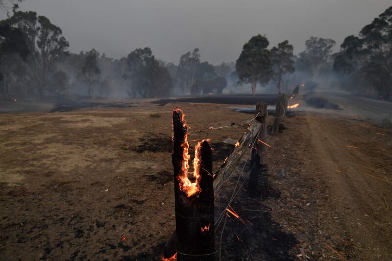 L'Australia devastata dagli incendi 10