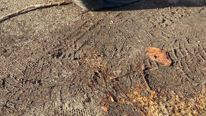 "Sono auto pericolose". E gli eco-vandali sgonfiano le ruote dei suv