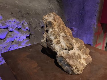 Il museo dello sterco 8
