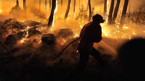 Colossale incendio in Portogallo 9